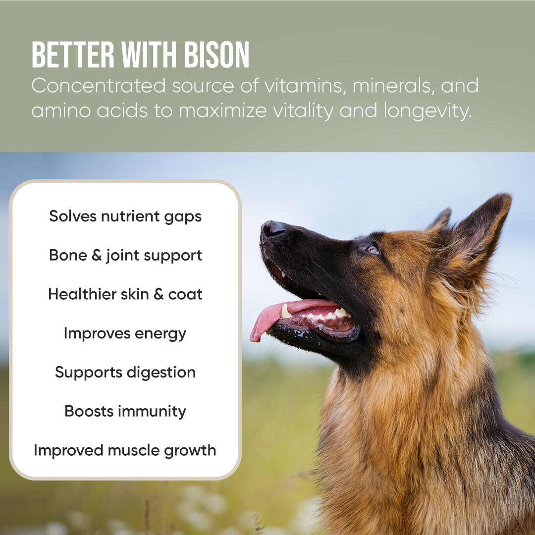 Bison Organ Powder for Dogs