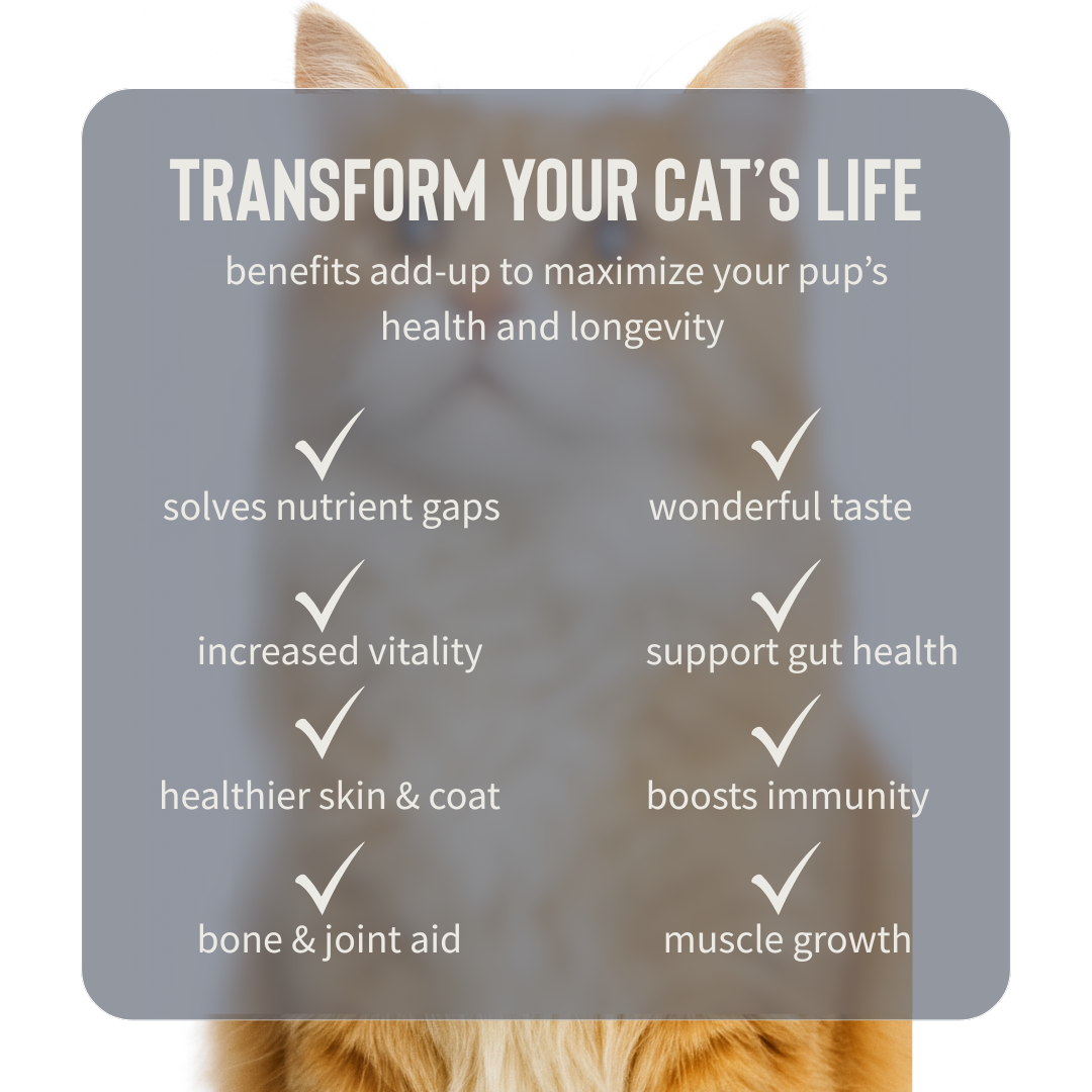 WILDPRIDE - Bison Organ Powder for Cats