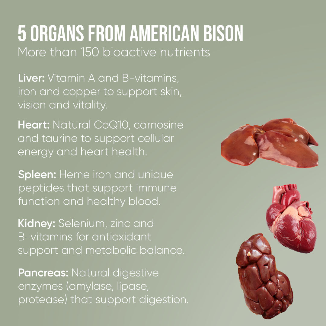 Bison Organ Powder for Dogs